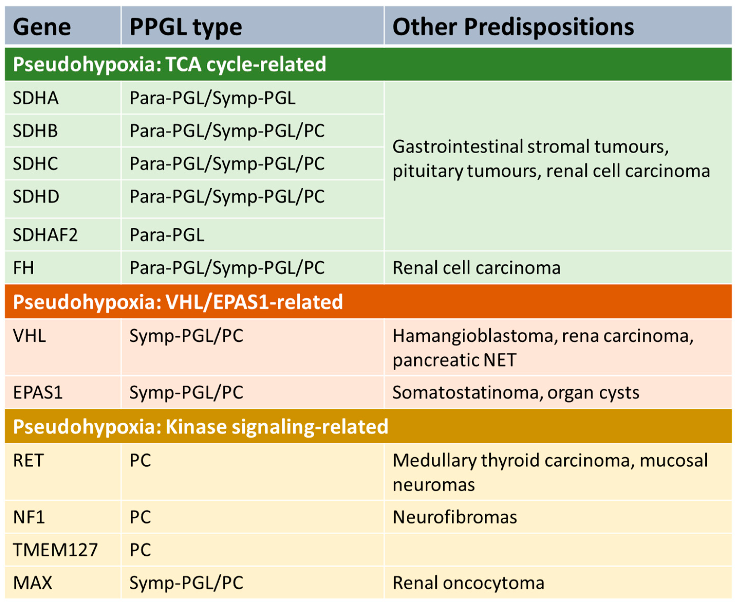 Diagnostics 13 02940 g001