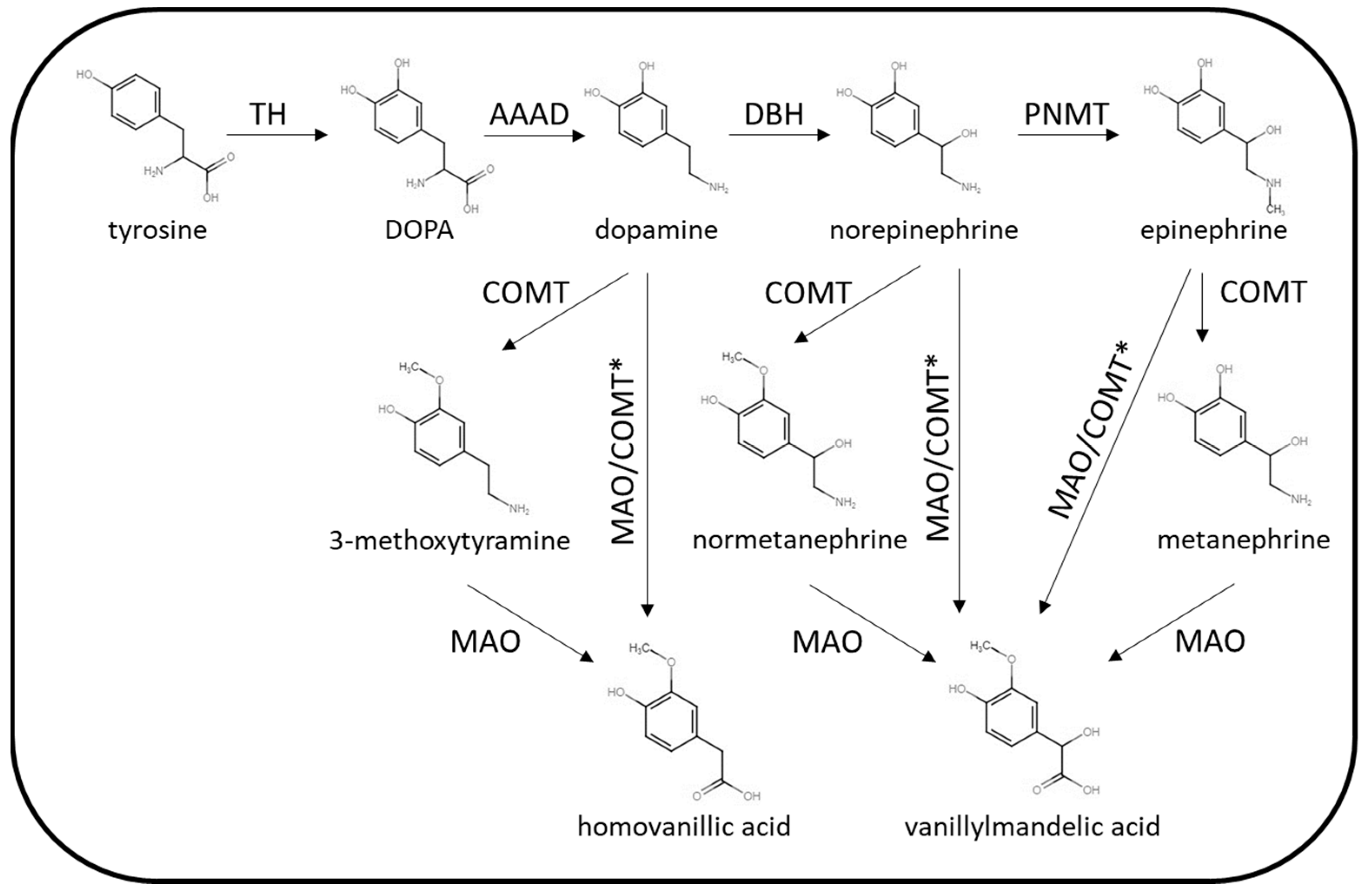 Diagnostics 13 02940 g002
