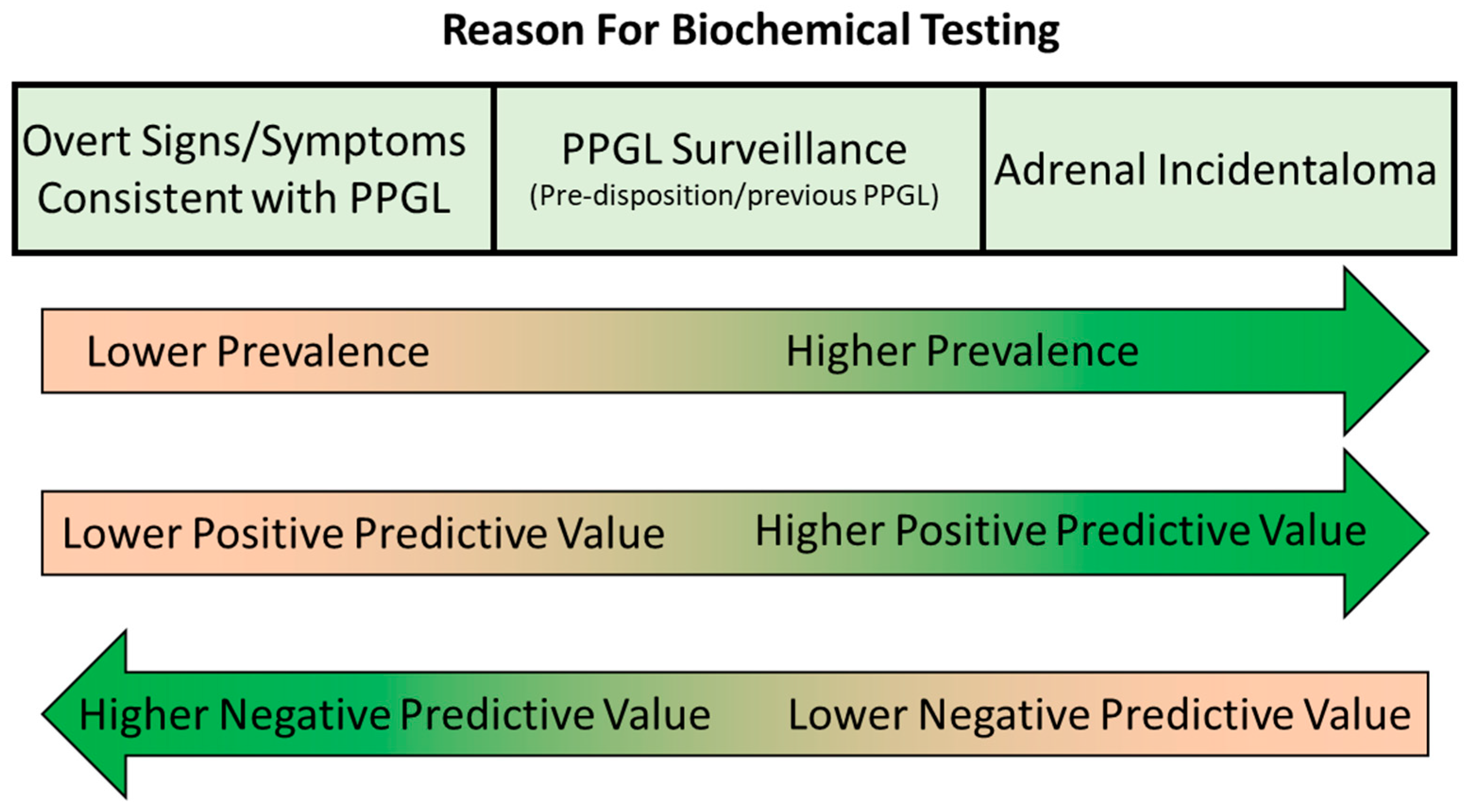 Diagnostics 13 02940 g004