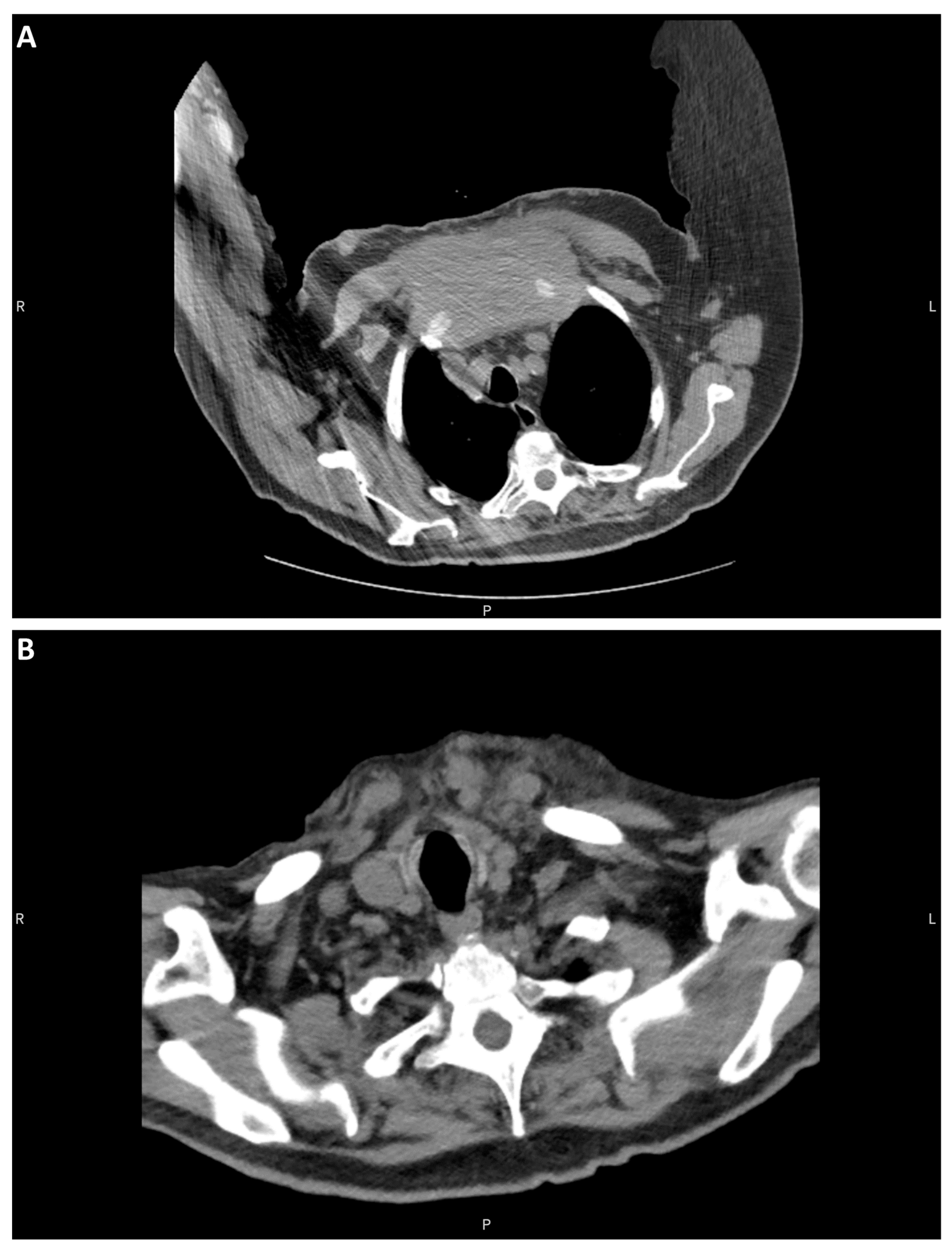 Diagnostics 13 02941 g001