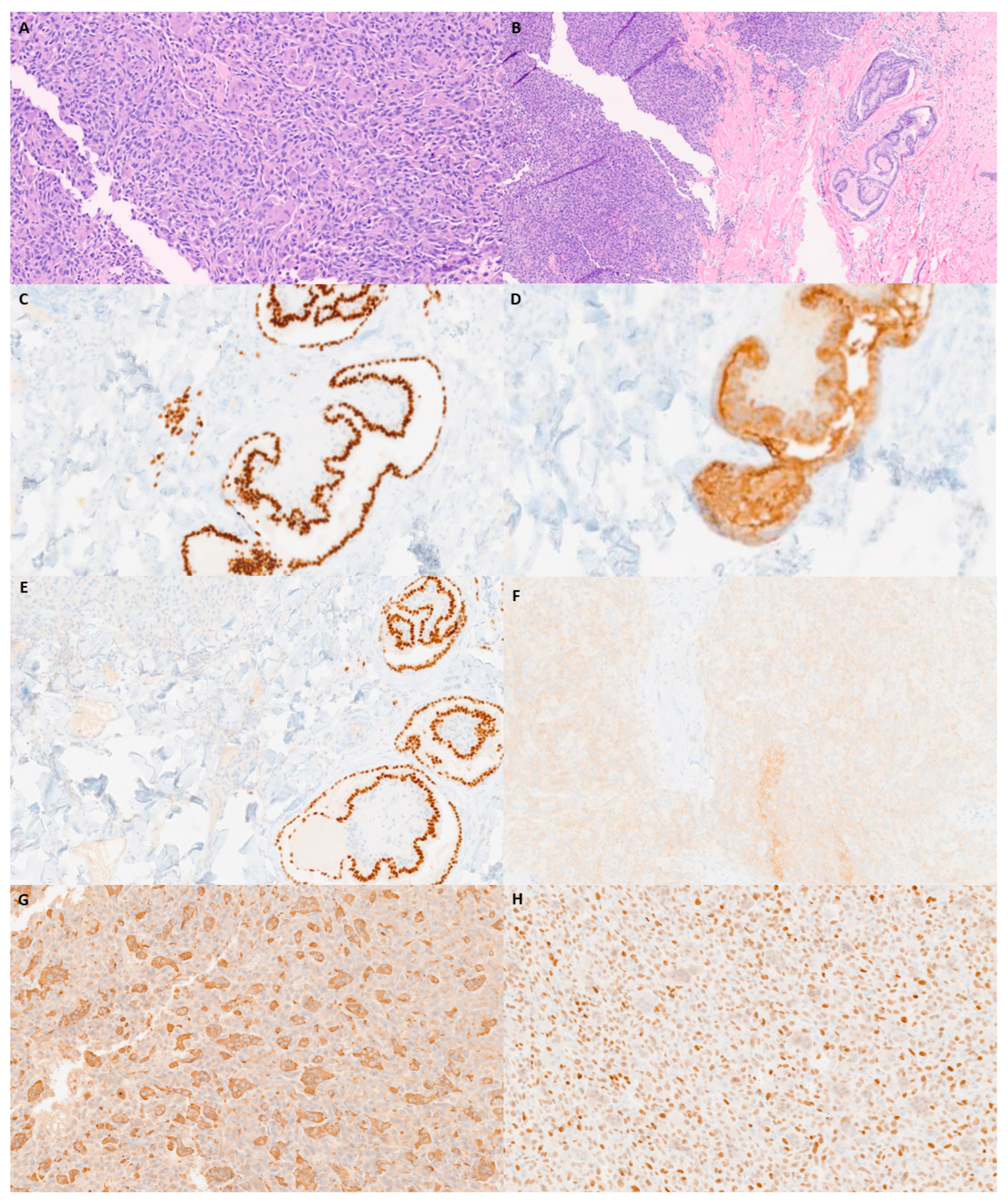 Diagnostics 13 02941 g003