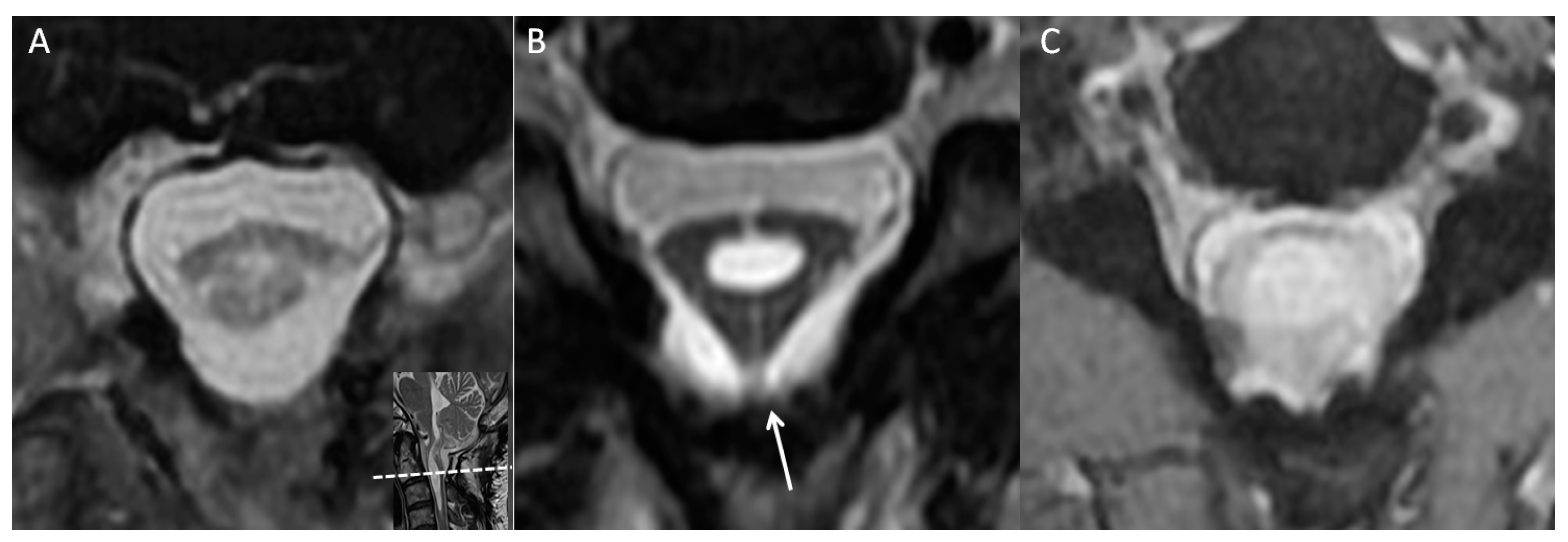 Diagnostics 13 02942 g002