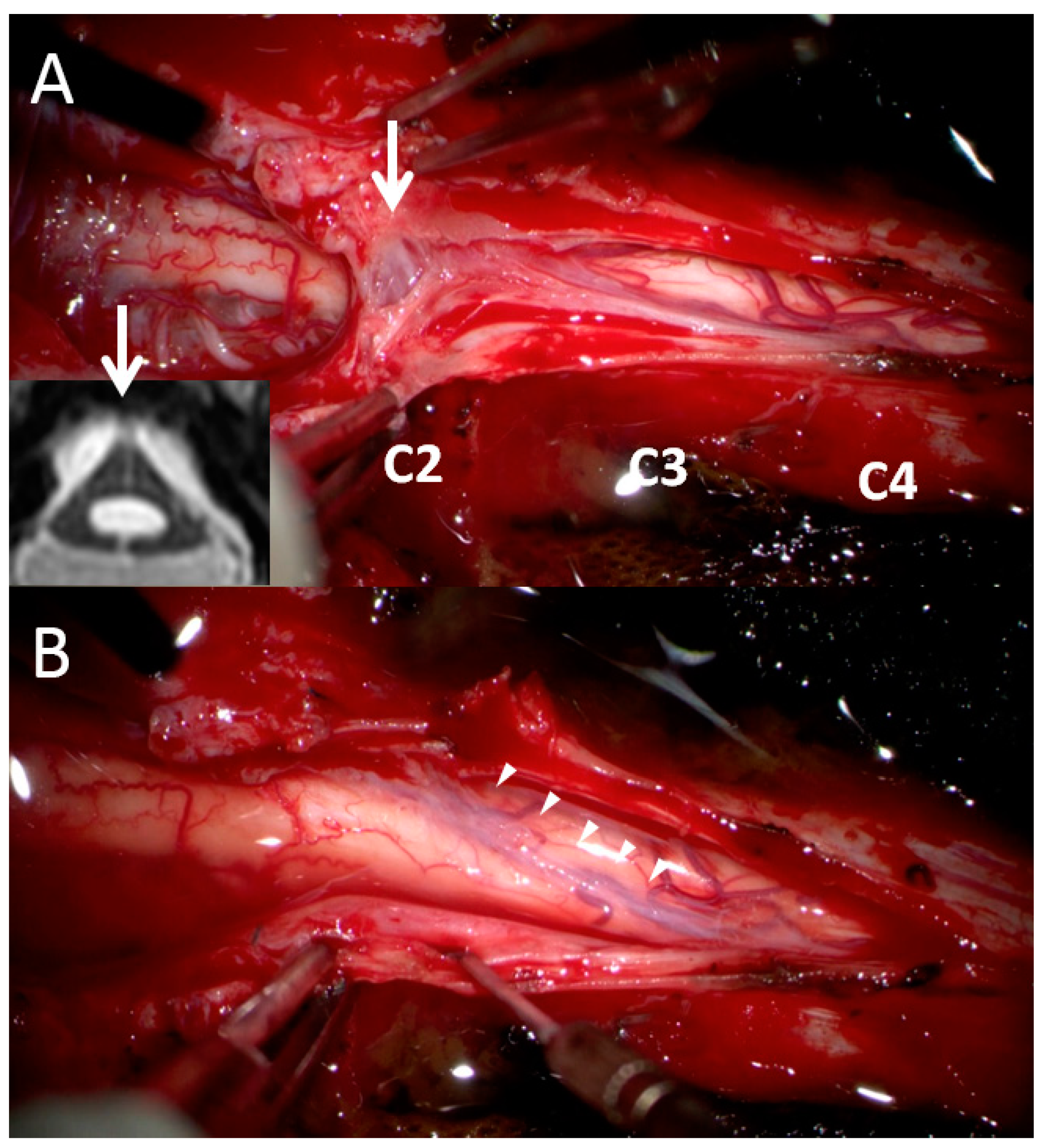 Diagnostics 13 02942 g003