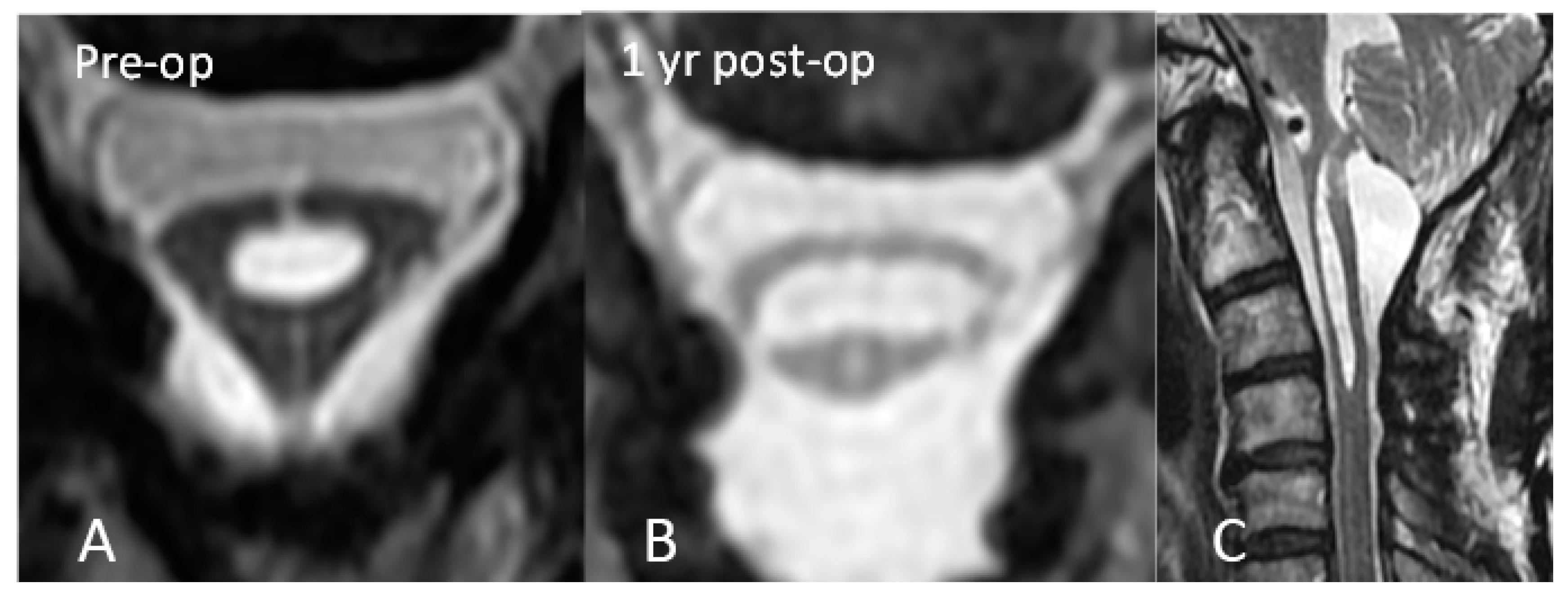 Diagnostics 13 02942 g004