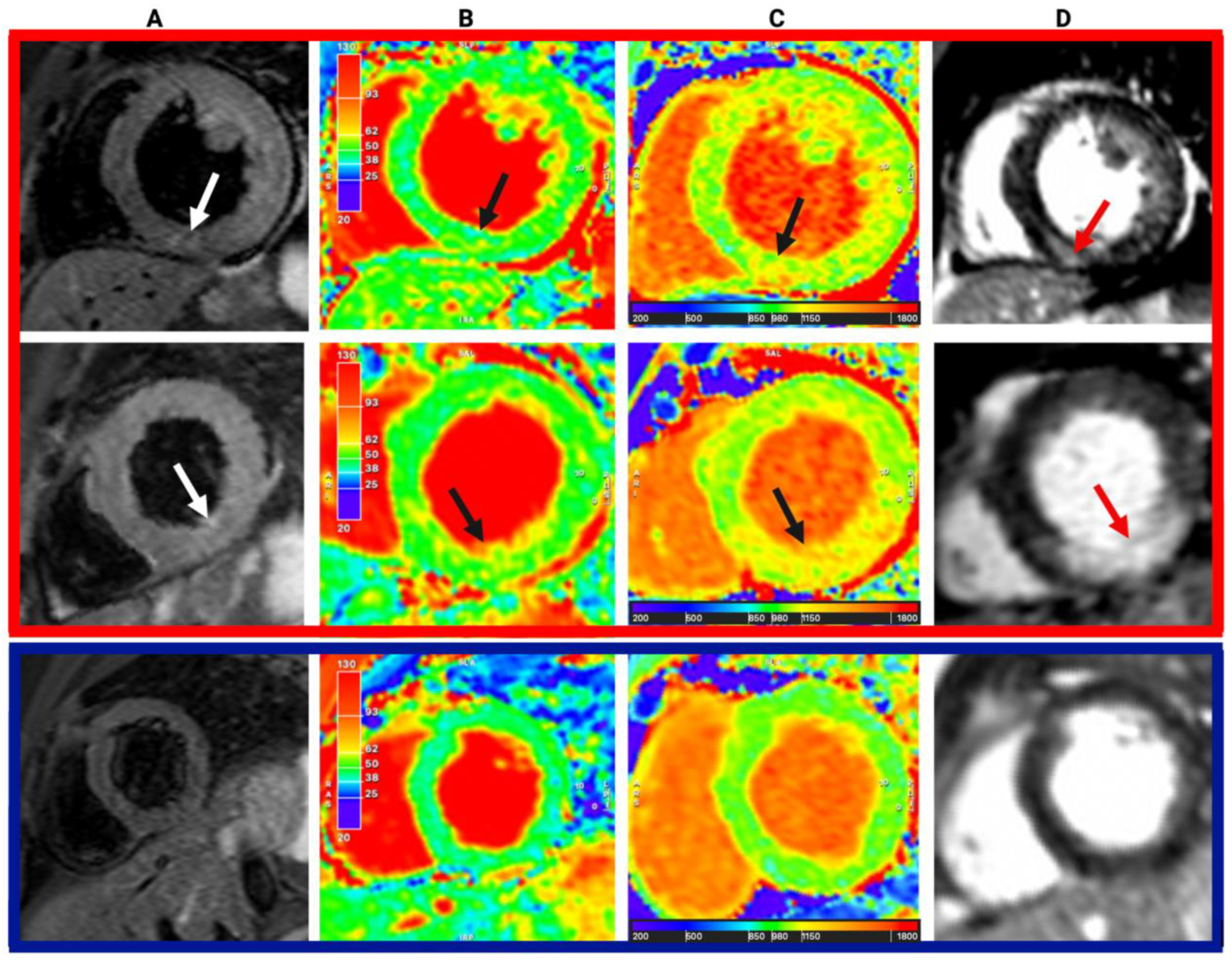 Diagnostics 13 02943 g002
