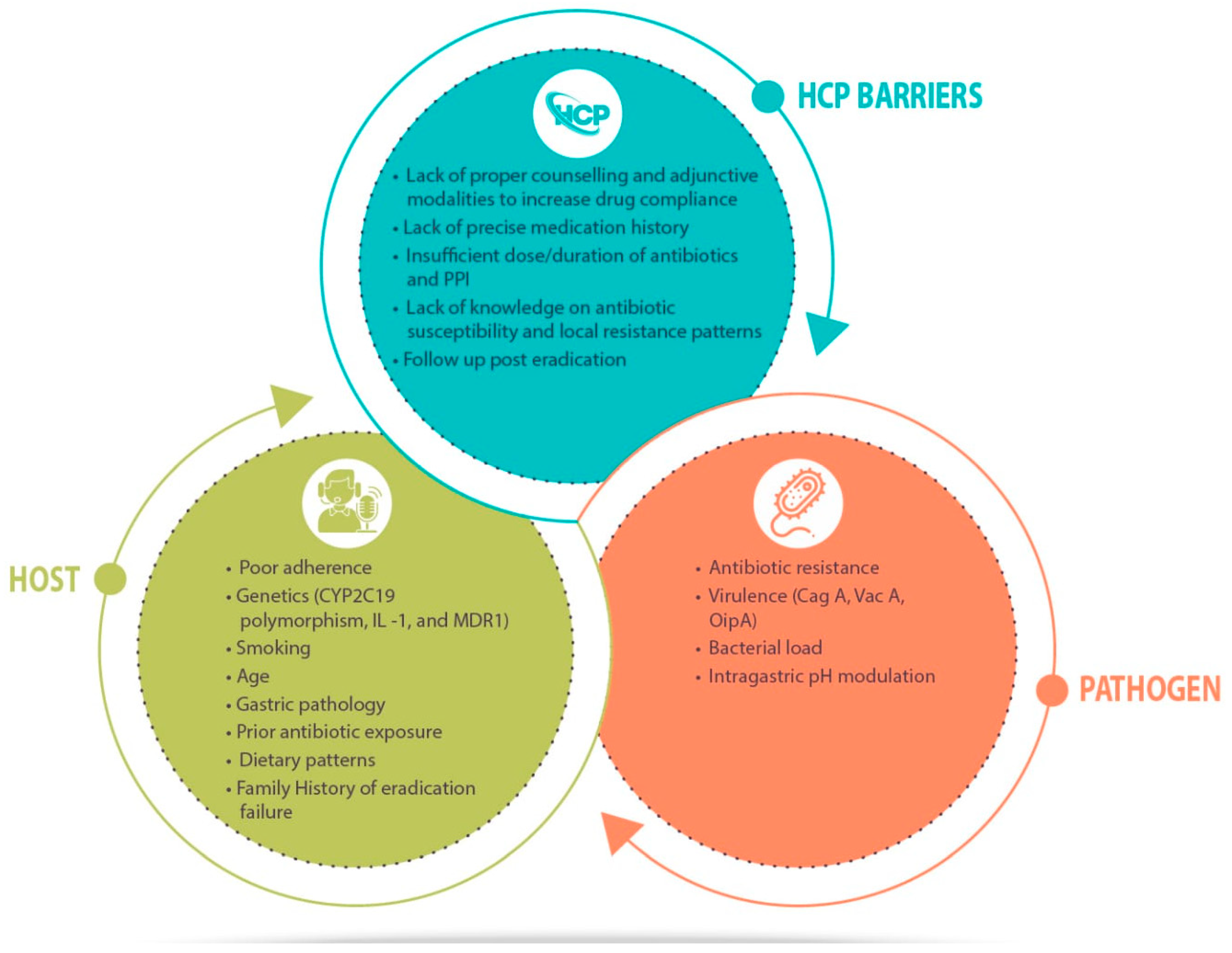 Diagnostics 13 02944 g001