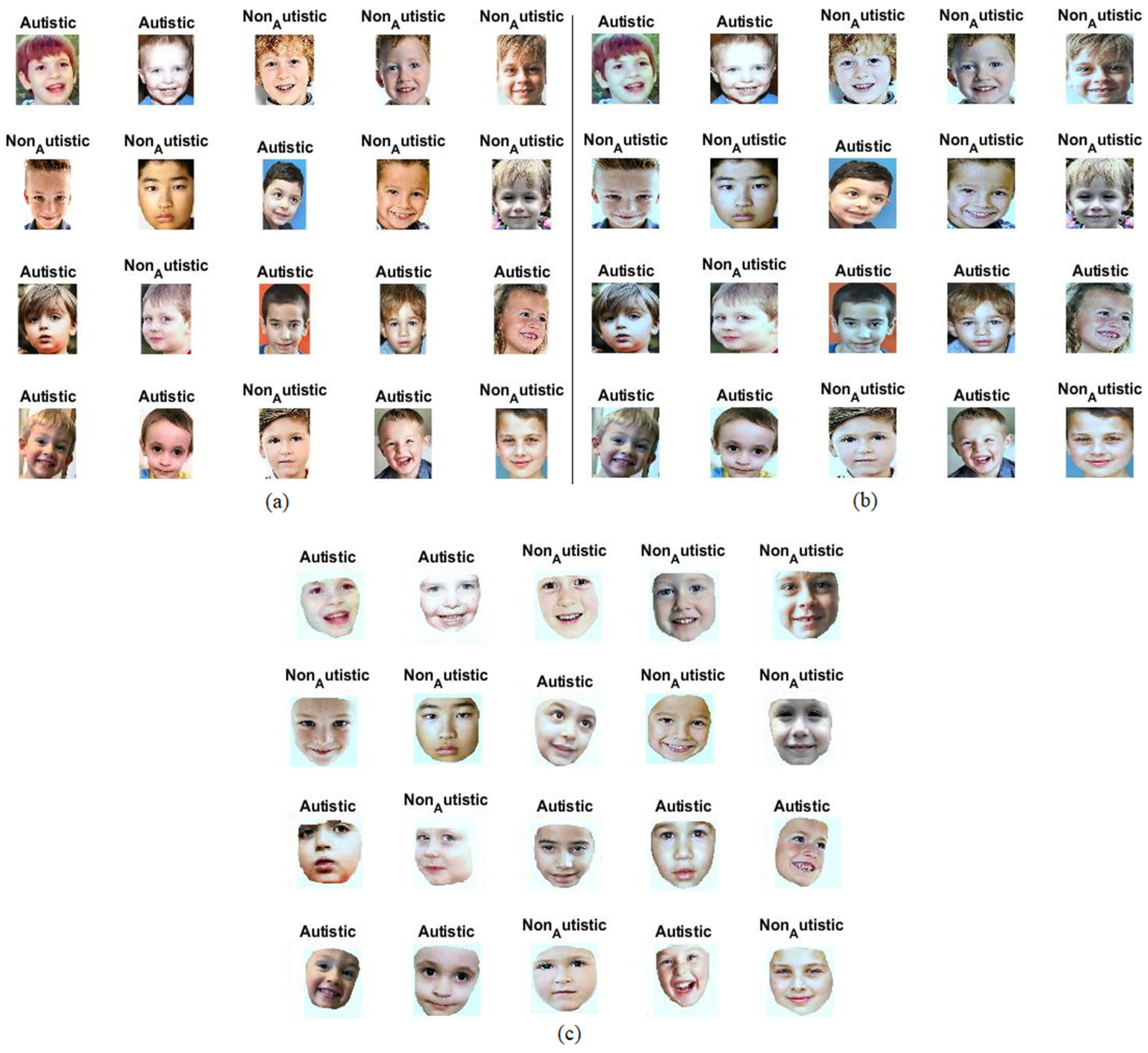 Diagnostics 13 02948 g001