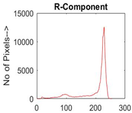 Diagnostics 13 02958 i014