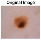 Diagnostics 13 02958 i037