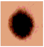 Diagnostics 13 02958 i048