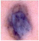 Diagnostics 13 02958 i051