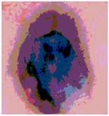 Diagnostics 13 02958 i053