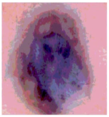 Diagnostics 13 02958 i055