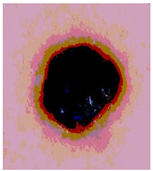 Diagnostics 13 02958 i057