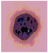 Diagnostics 13 02958 i058