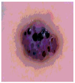 Diagnostics 13 02958 i060