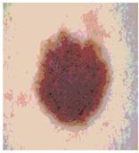 Diagnostics 13 02958 i064