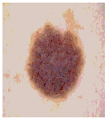 Diagnostics 13 02958 i065