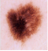 Diagnostics 13 02958 i066