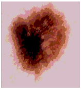 Diagnostics 13 02958 i069