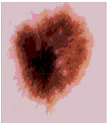 Diagnostics 13 02958 i070