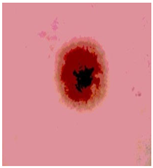 Diagnostics 13 02958 i073