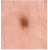 Diagnostics 13 02958 i076