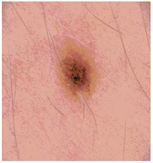 Diagnostics 13 02958 i080