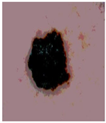 Diagnostics 13 02958 i082