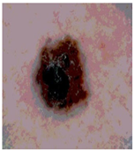 Diagnostics 13 02958 i084