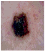 Diagnostics 13 02958 i085