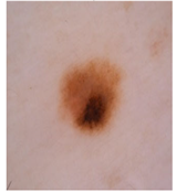 Diagnostics 13 02958 i086