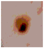 Diagnostics 13 02958 i088