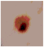 Diagnostics 13 02958 i089