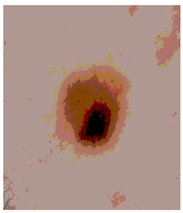 Diagnostics 13 02958 i095