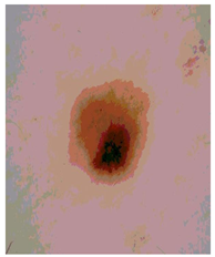 Diagnostics 13 02958 i103