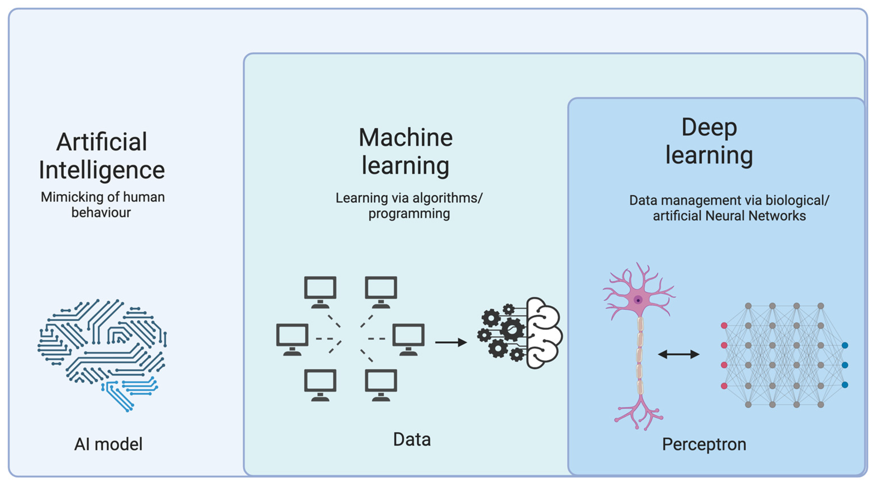 Diagnostics 13 02963 g002 Diagnostics 13 02963 g002