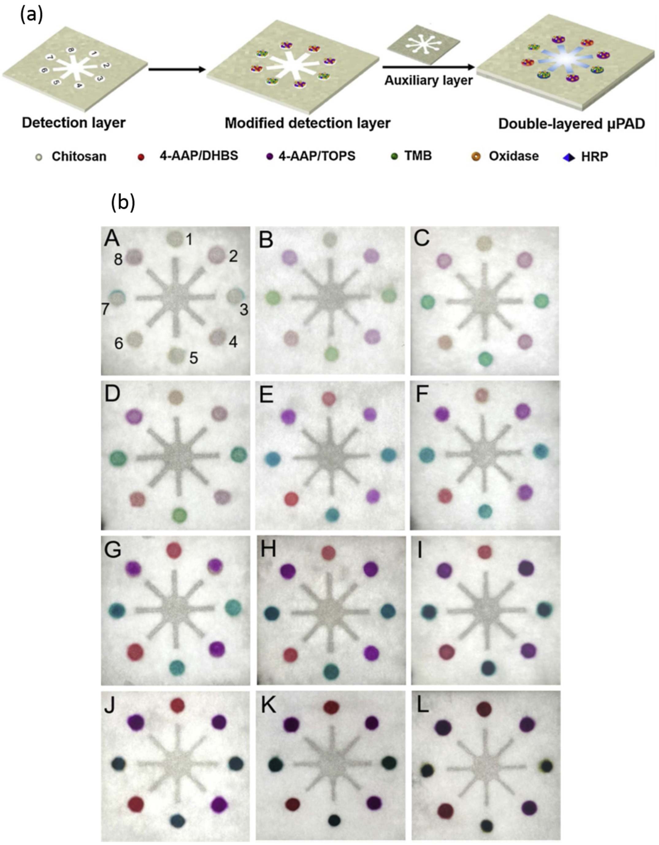 Diagnostics 13 02967 g001a