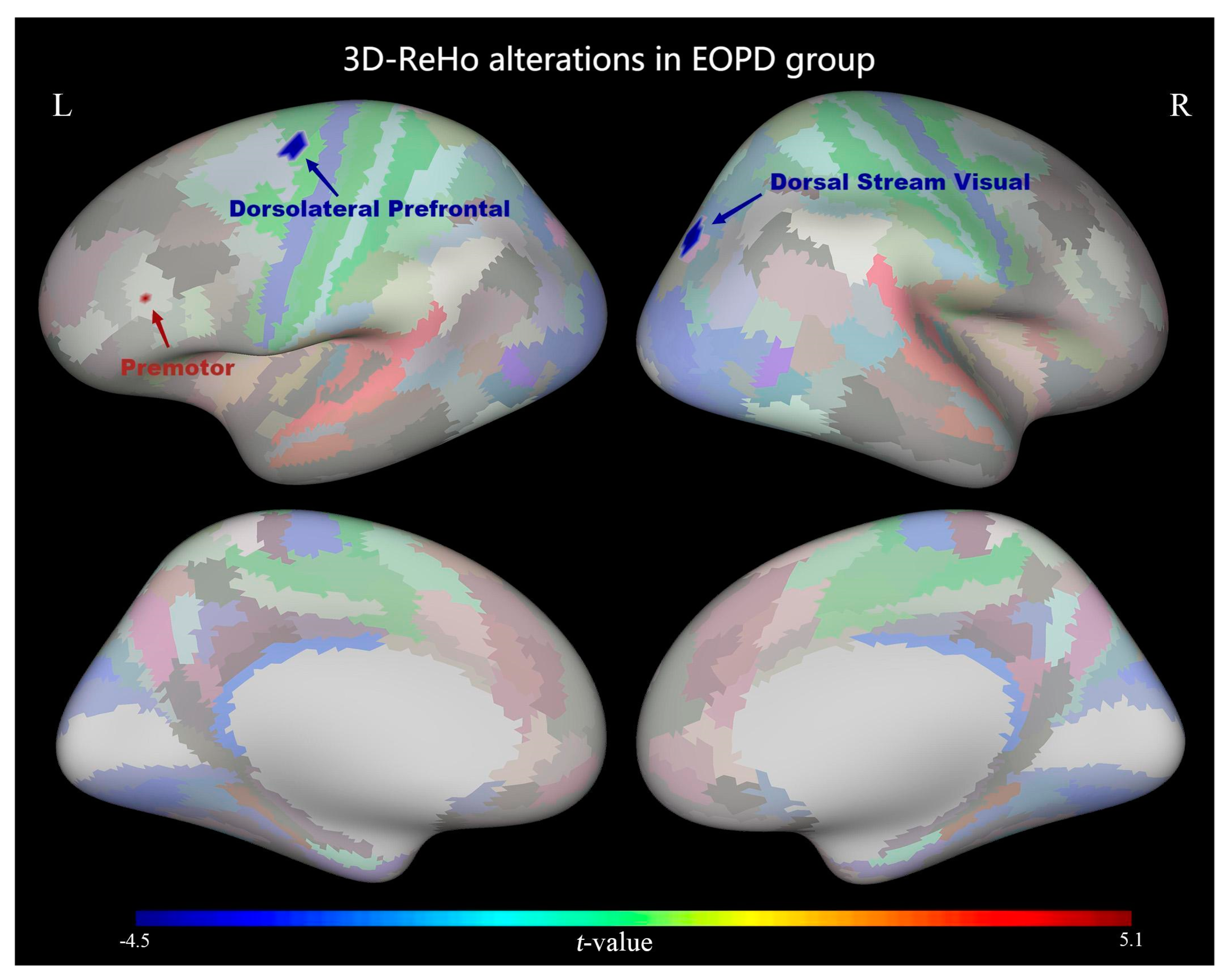 Diagnostics 13 02969 g001