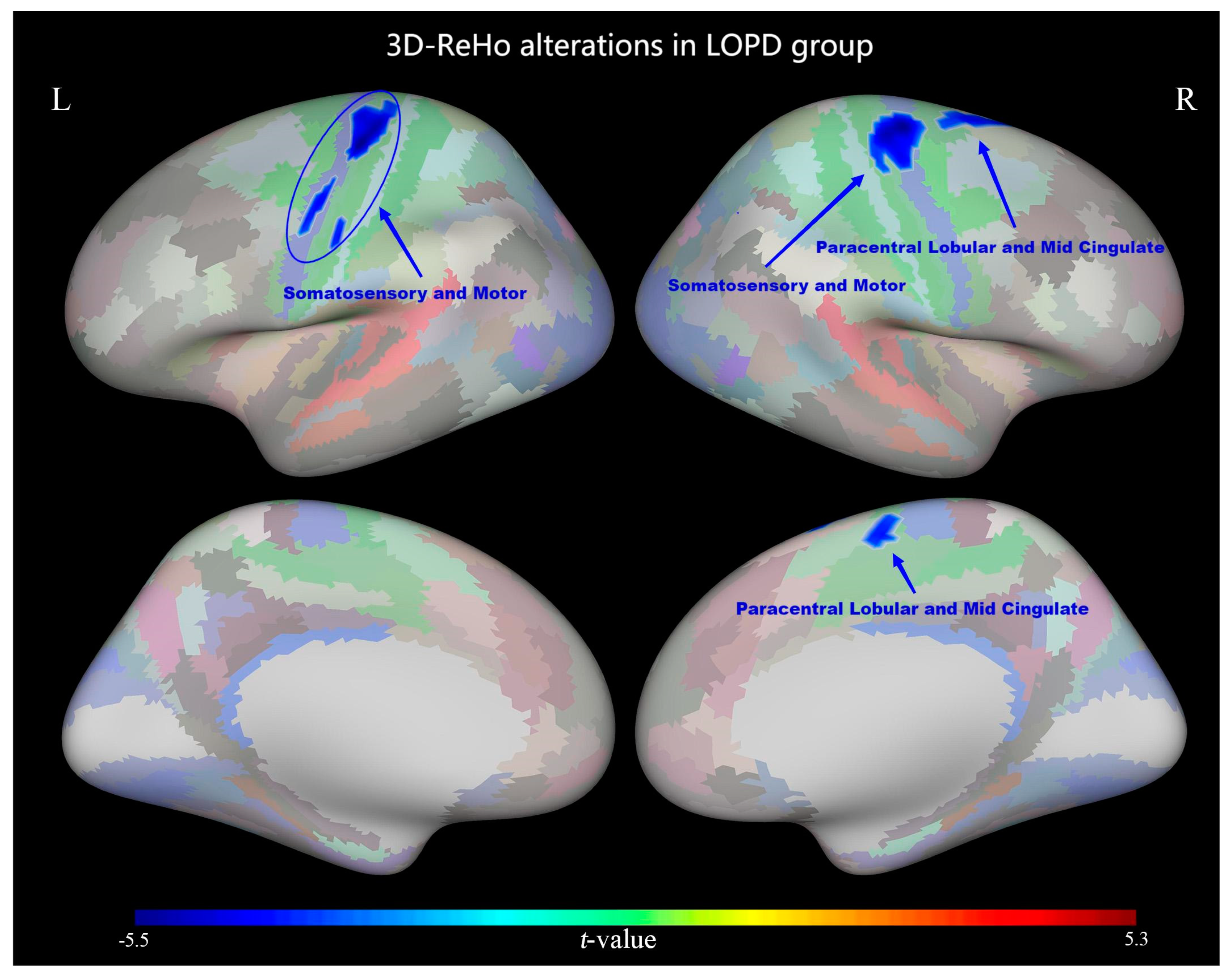 Diagnostics 13 02969 g002