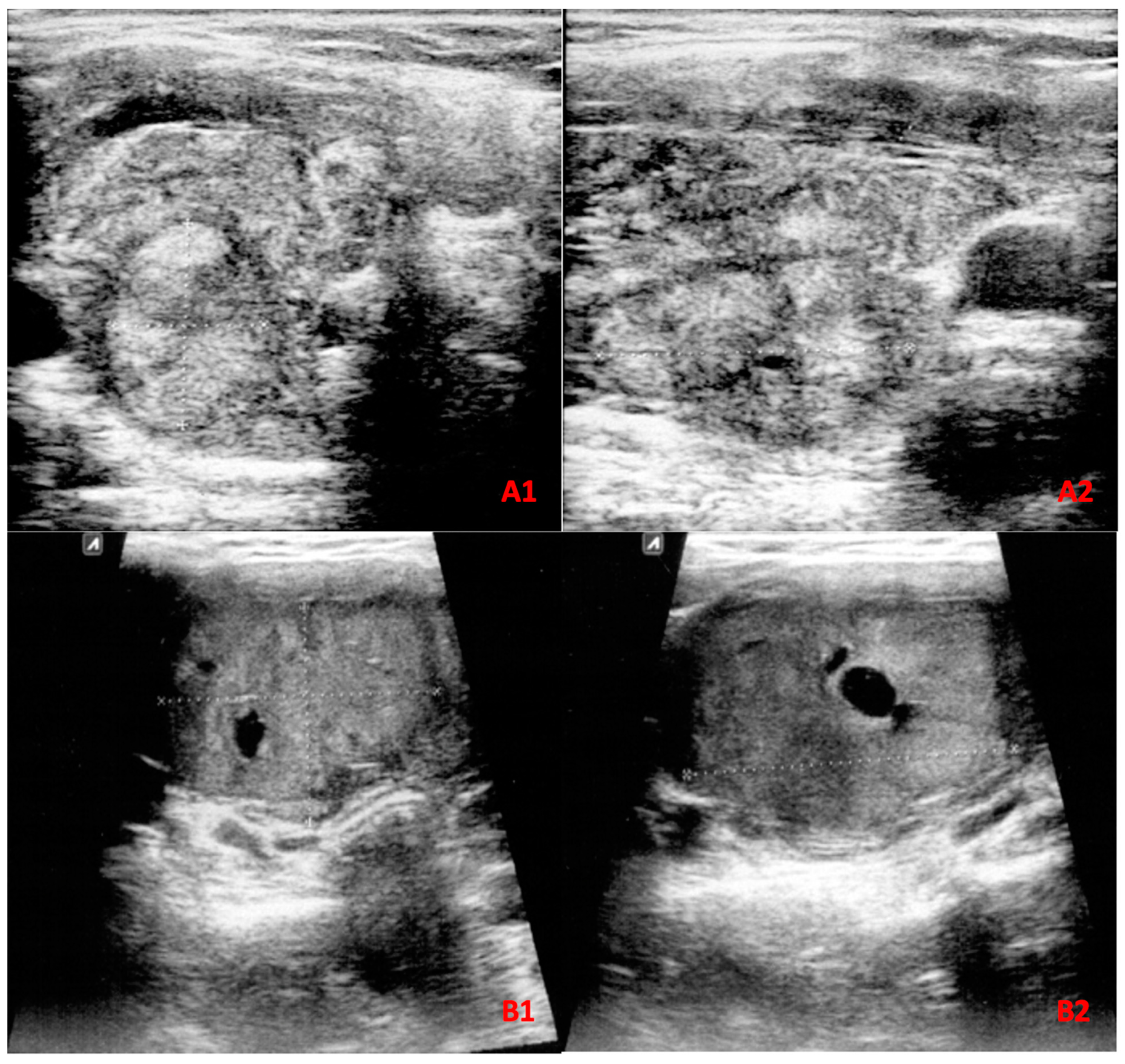 Diagnostics 13 02972 g001