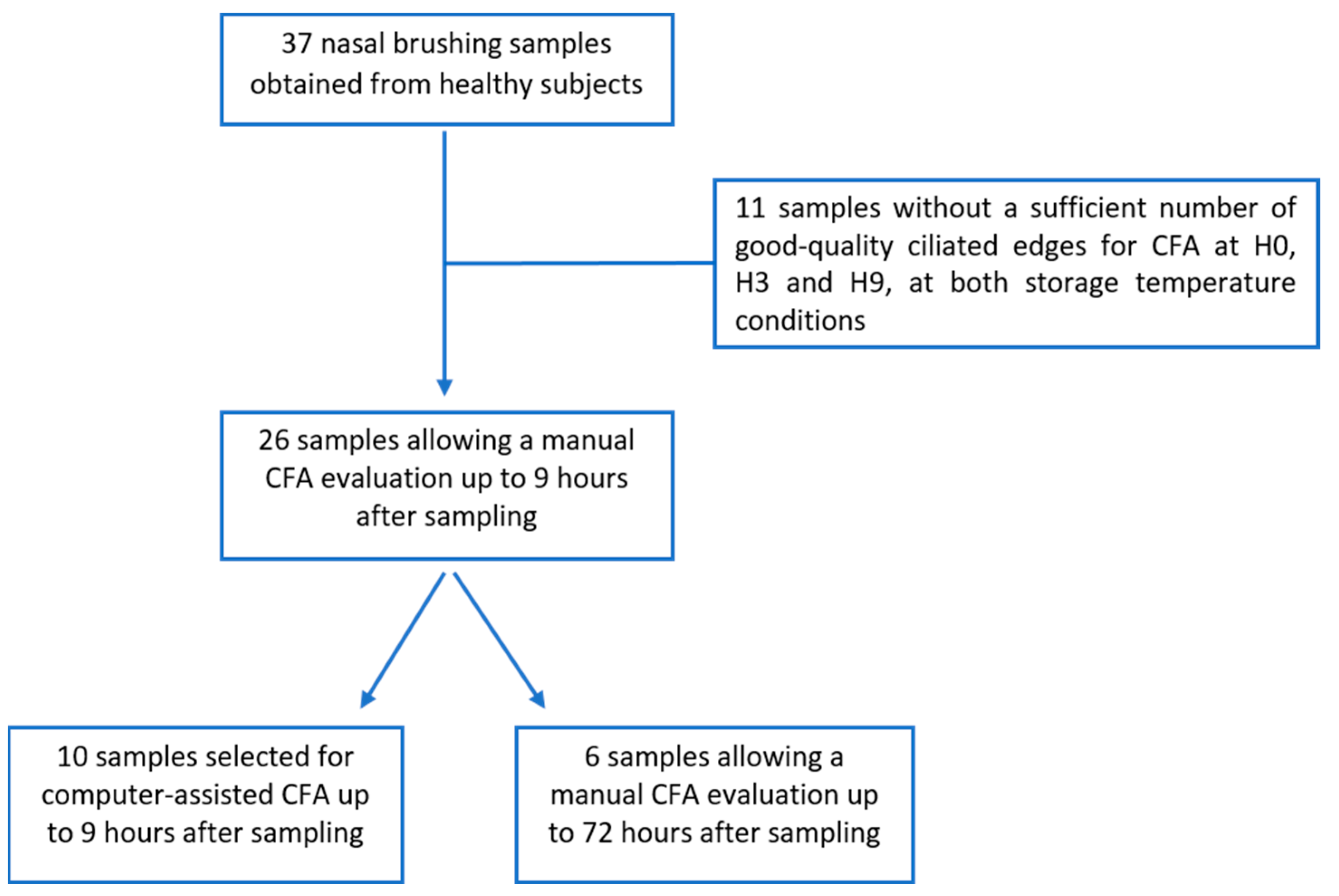 Diagnostics 13 02974 g001