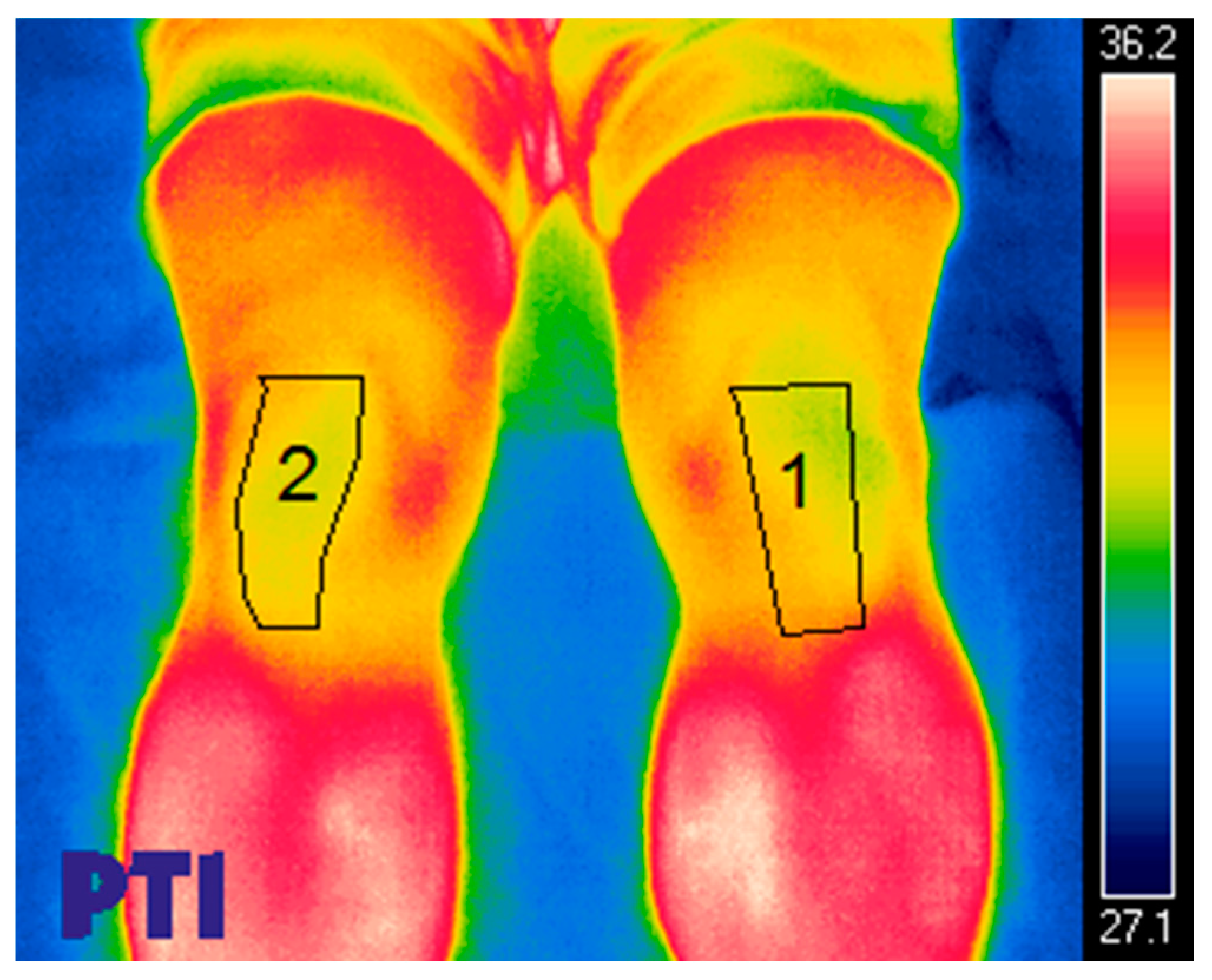 Diagnostics 13 02976 g003