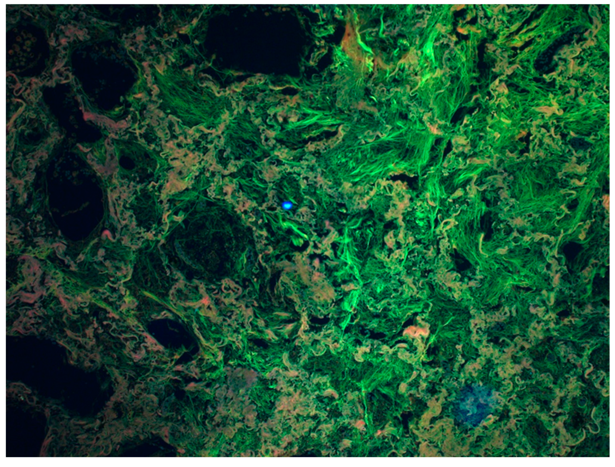 Diagnostics 13 02980 g003