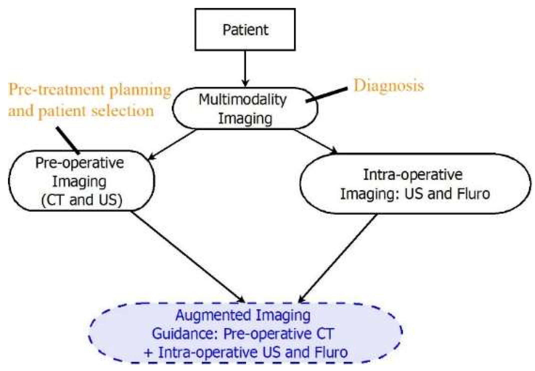 Diagnostics 13 02981 g001