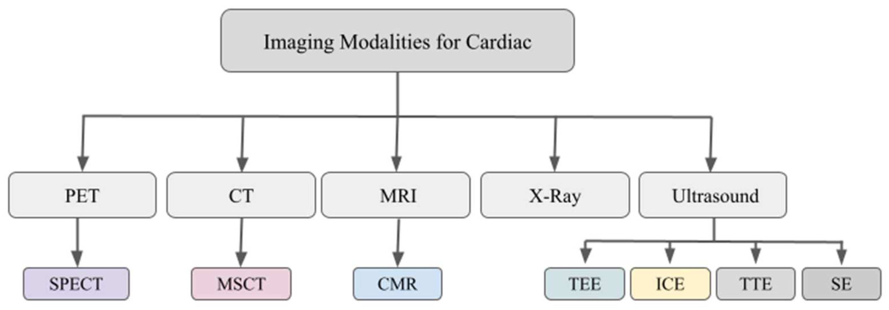 Diagnostics 13 02981 g002
