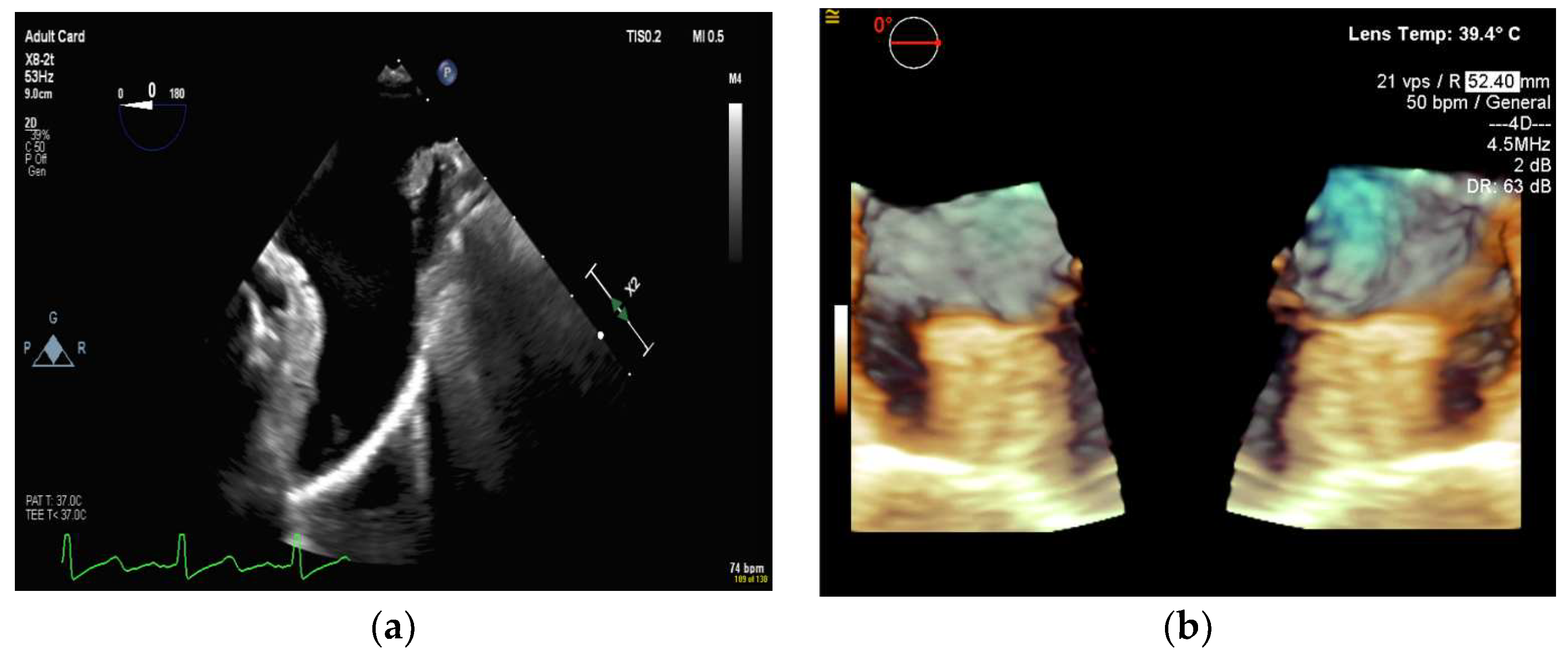 Diagnostics 13 02981 g010