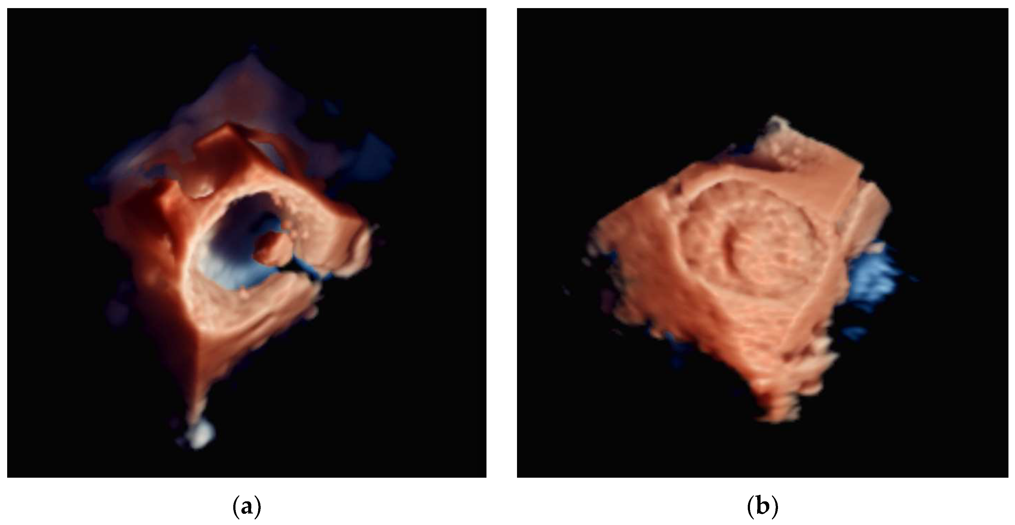 Diagnostics 13 02981 g011
