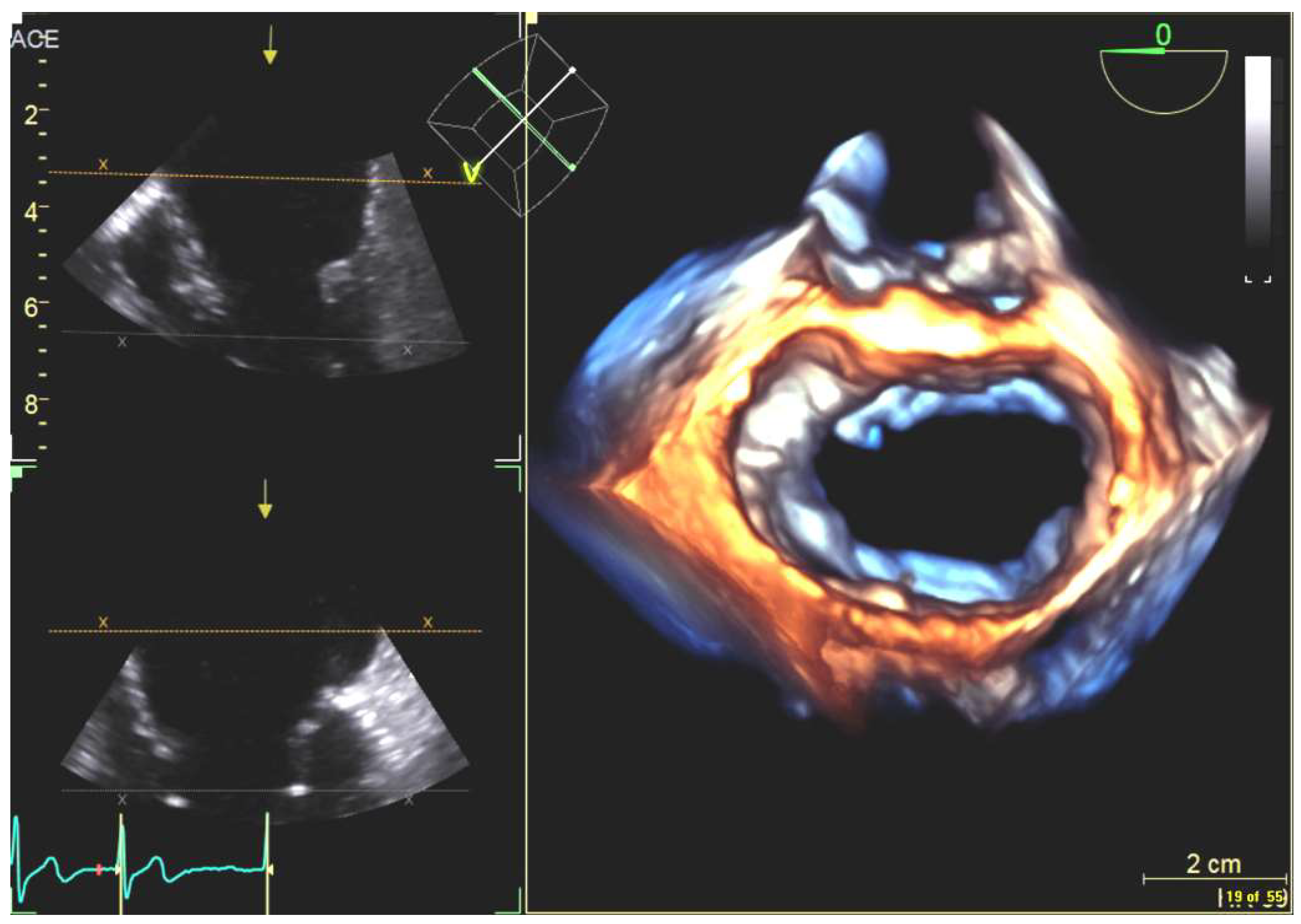 Diagnostics 13 02981 g012