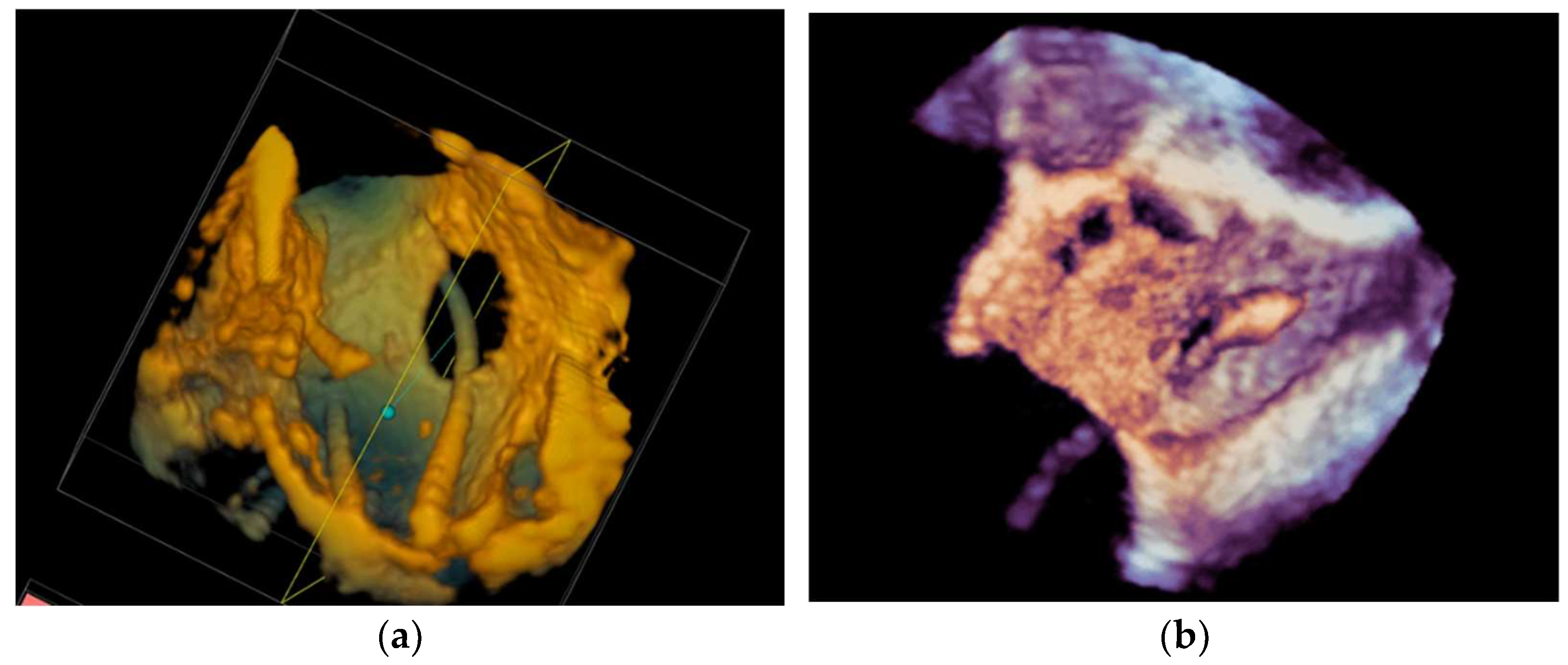 Diagnostics 13 02981 g014